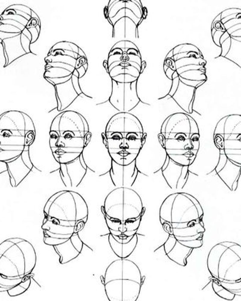 Research and scientific study visualization